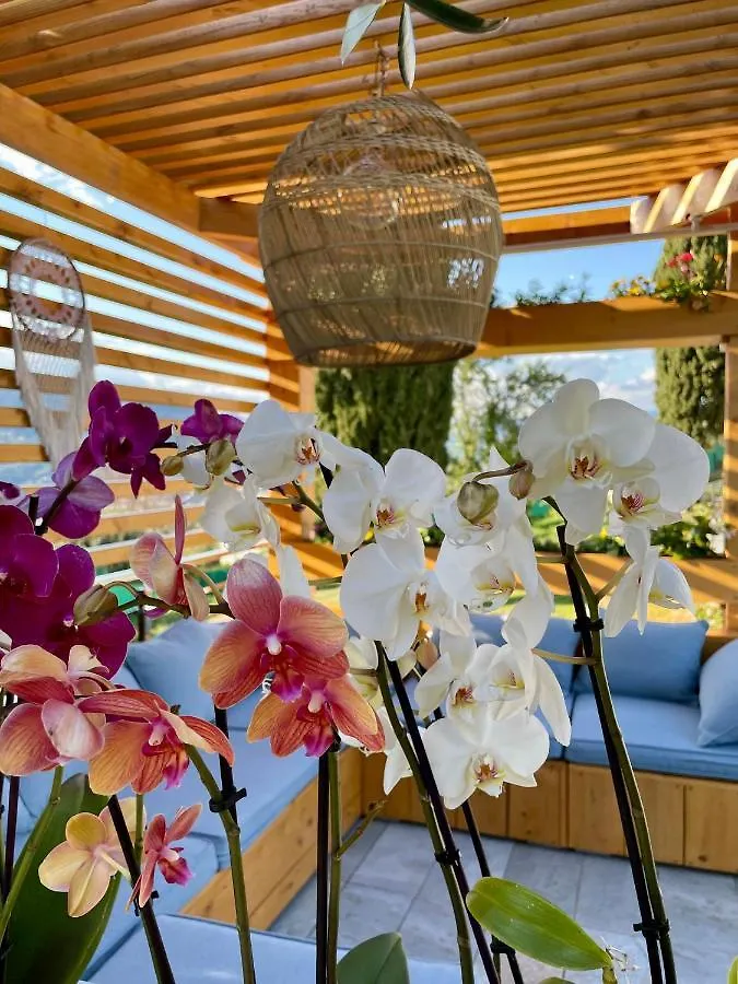 ニース Escondida Bed & Breakfast